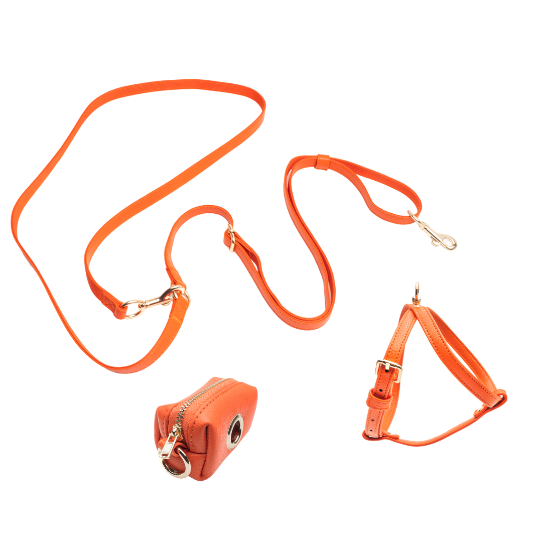 Orange Set - Harness + Shoulder + Poop Bag