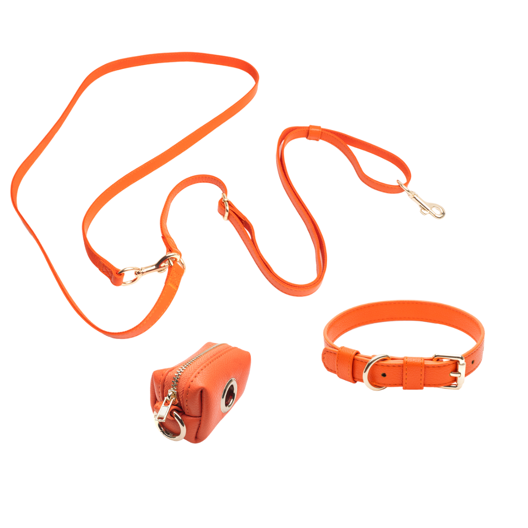 Orange Set - Collar + Shoulder + Poop Bag