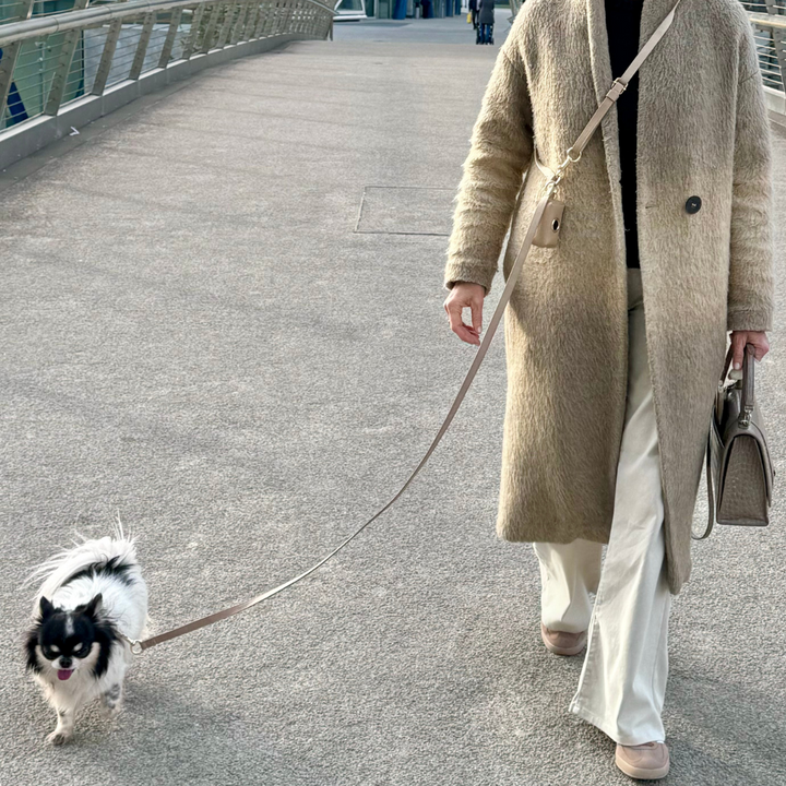 Beige Shoulder Leash