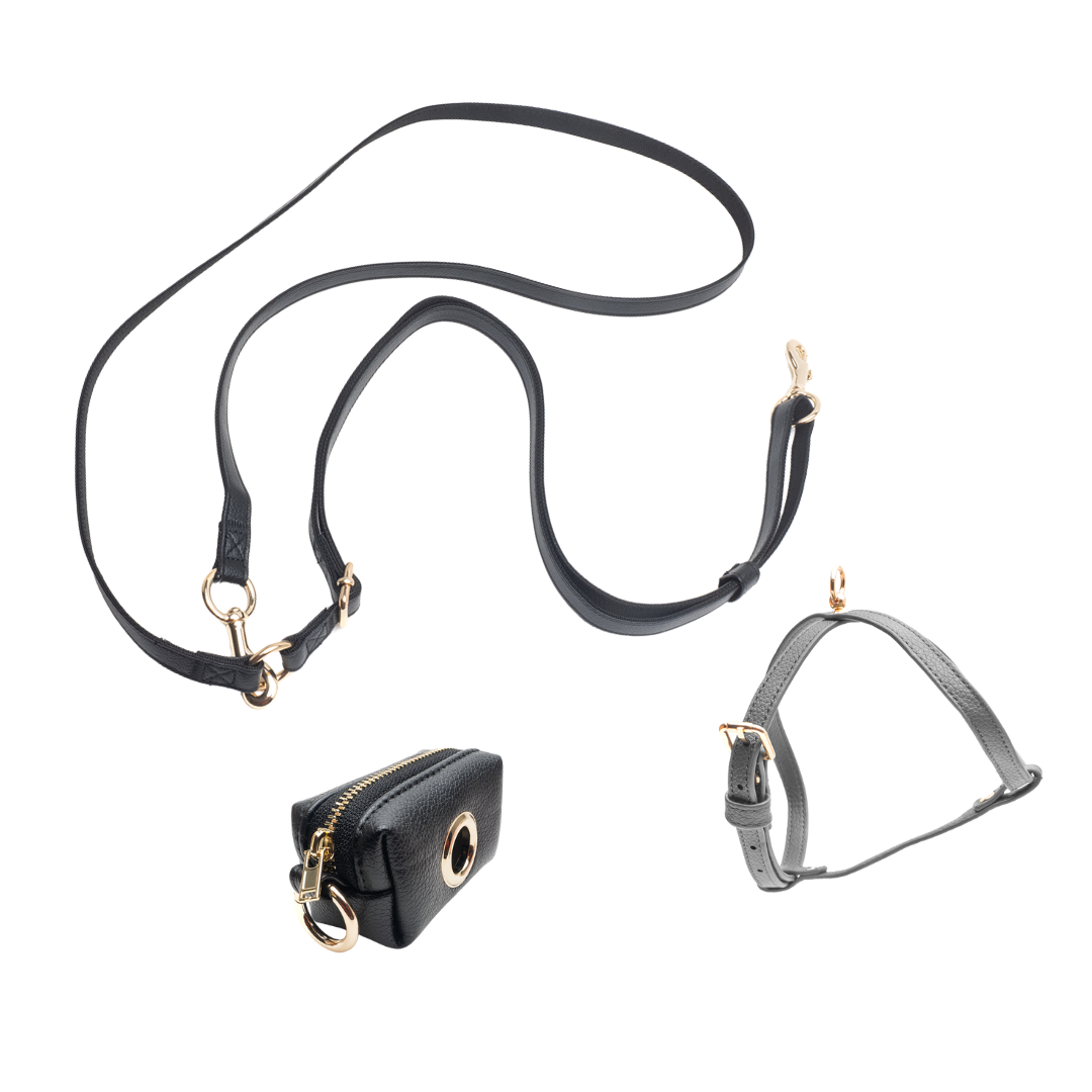 Set Nero: Pettorina + Guinzaglio a Spalla + Poop Bag