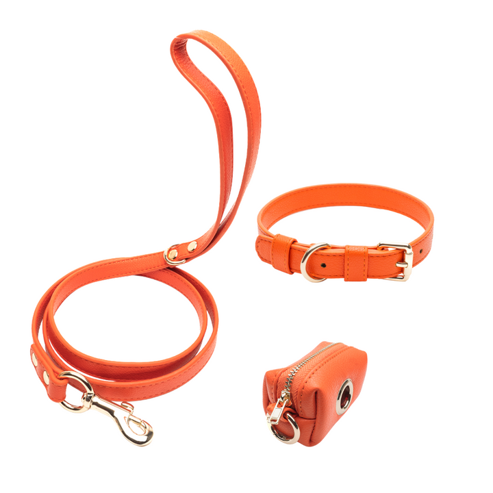 Orange Set - Collar + Classic Leash + Poop Bag