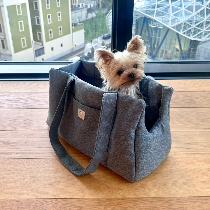 Dog Carrier in Light Blue