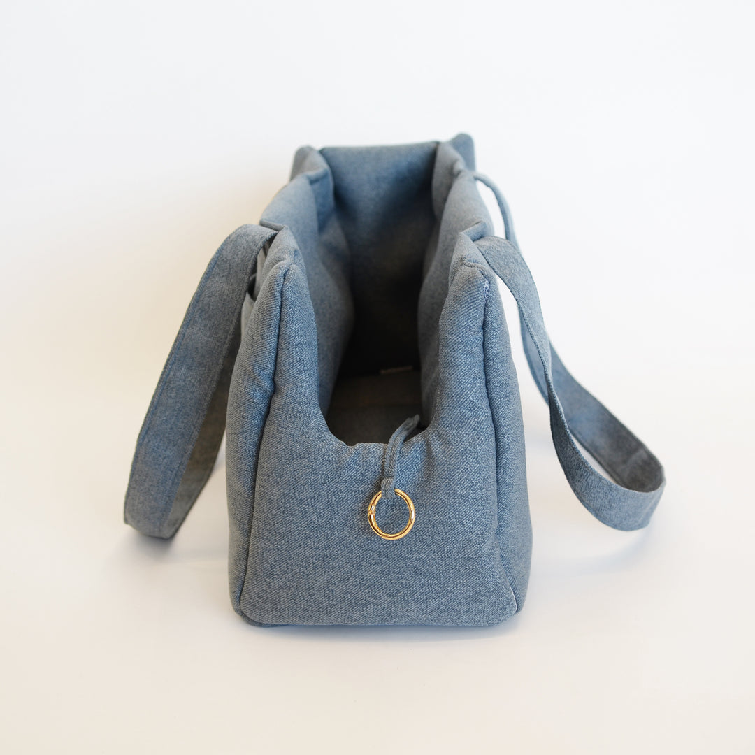 Dog Carrier in Light Blue