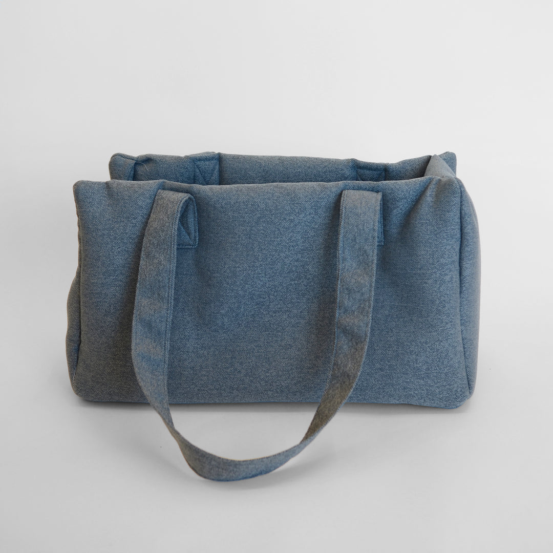 Dog Carrier in Light Blue