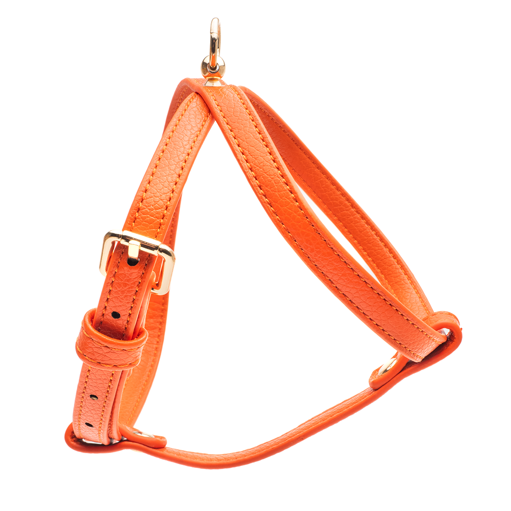 Orange Small Dog Harness