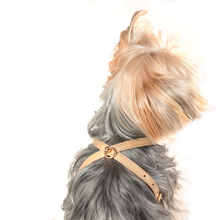 Pettorina Beige