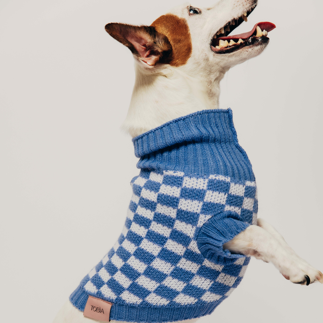 Blue dog clothing hot sale