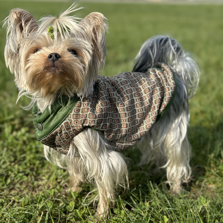 Kira Coat
