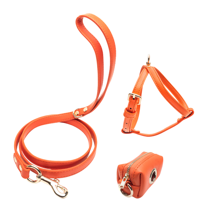 Orange Set - Harness + Classic Leash + Poop Bag