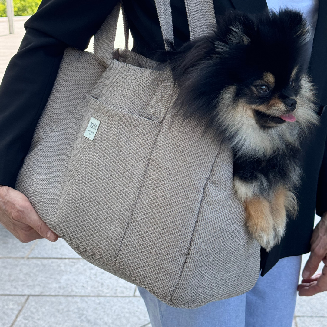 Dog Carrier in Beige