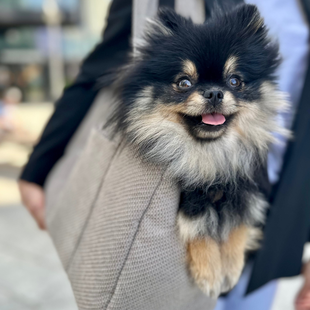 Dog Carrier in Beige