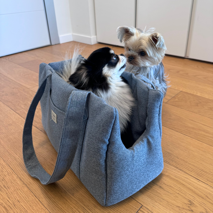 Dog Carrier in Light Blue