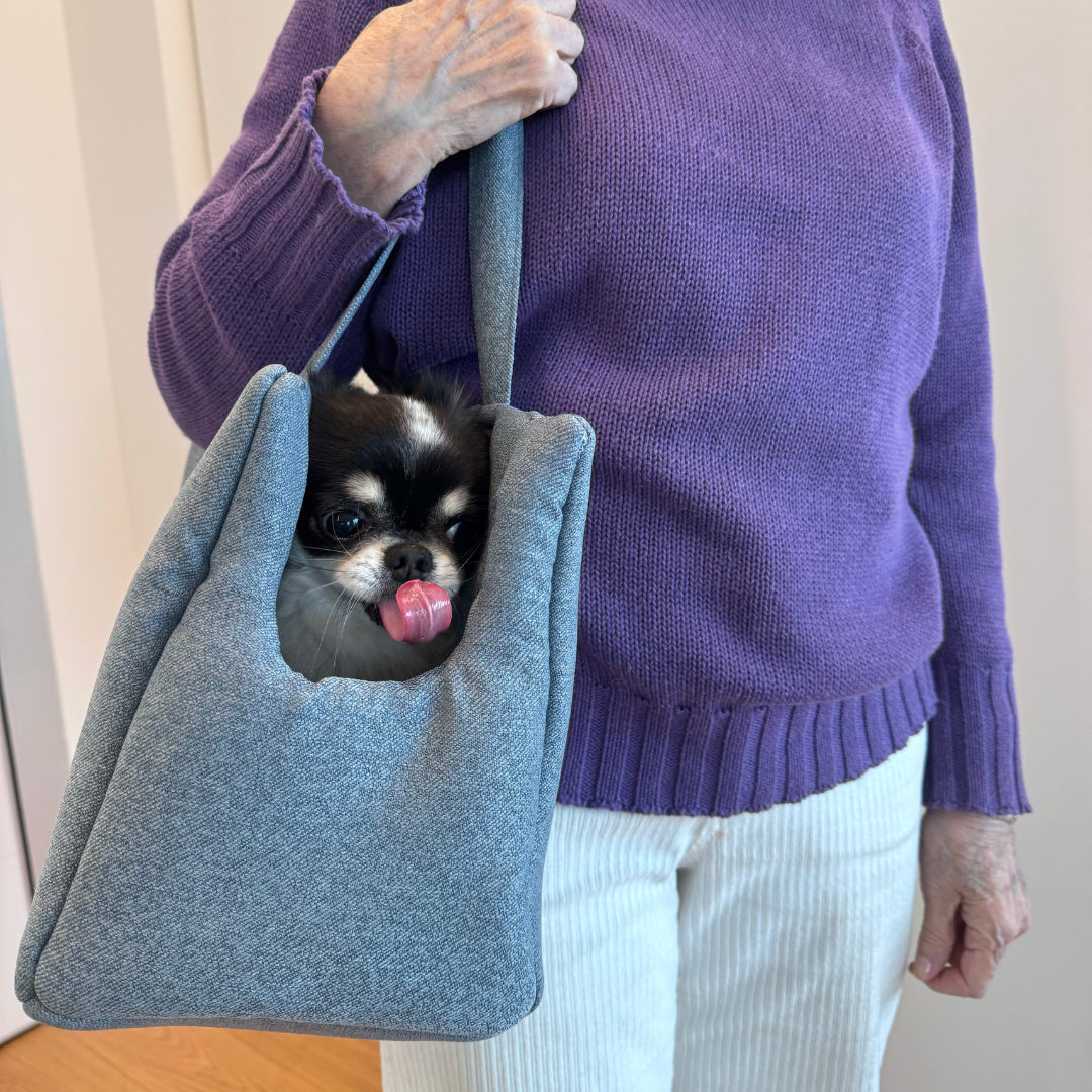 Dog Carrier in Light Blue