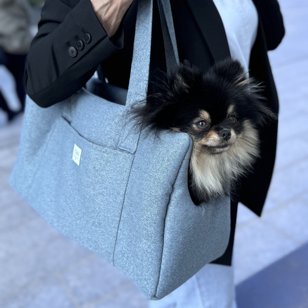 Dog Carrier in Light Blue
