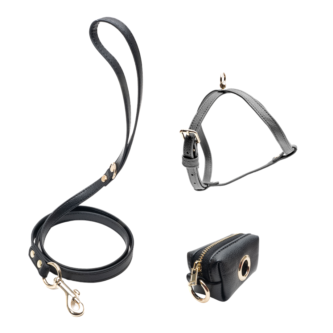 Set Nero: Pettorina + Guinzaglio Classico + Poop Bag