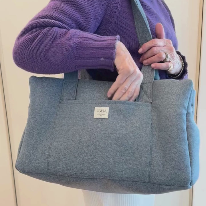Dog Carrier in Light Blue