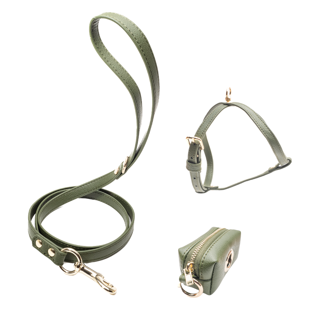 Green Set - Harness + Classic Leash + Poop Bag